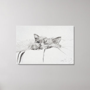 Monty sleepy boy canvas print