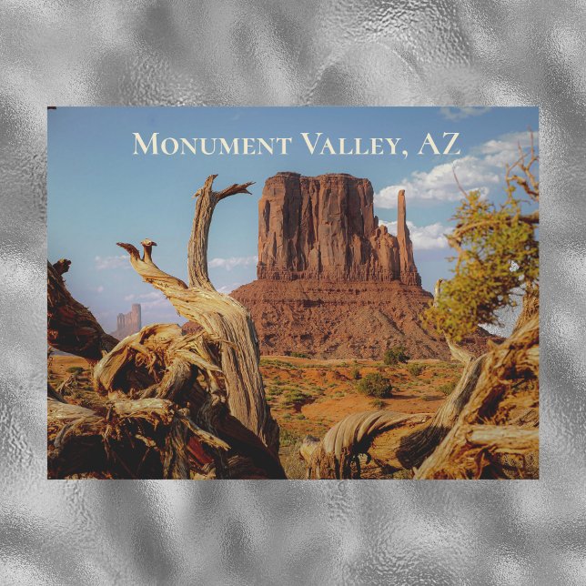 Monument Valley Arizona Mitten Magnet Card (Creator Uploaded)