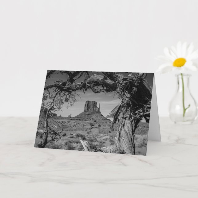 Monument Valley Black and White Card (Small Plant)