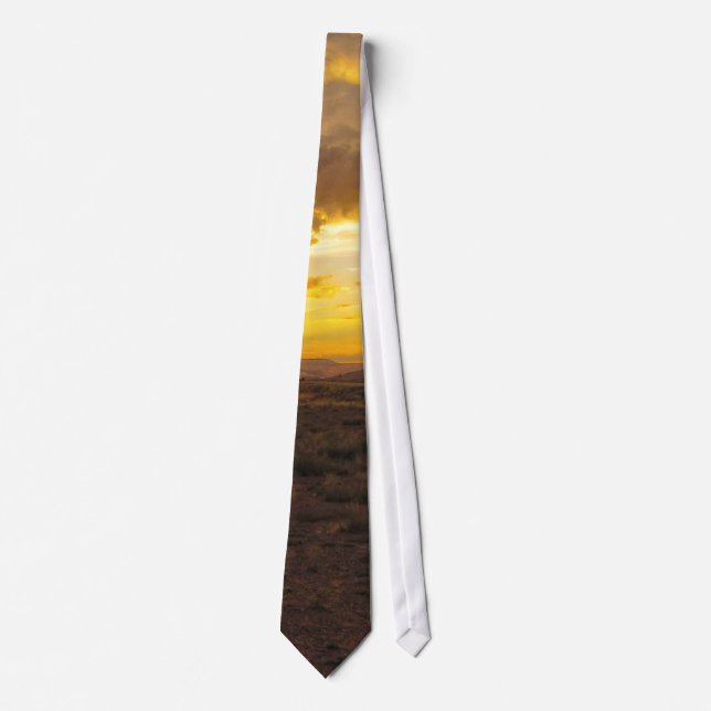 Monument Valley Sunset Tie (Front)