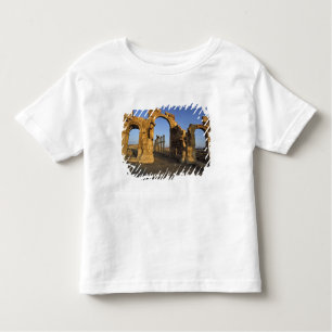 Monumental Arch, Palmyra, Homs, Syria Toddler T-Shirt
