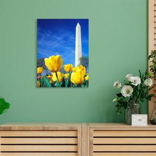 Monuments   Washington Monument in Spring Canvas Print