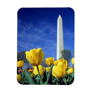 Monuments   Washington Monument in Spring Magnet