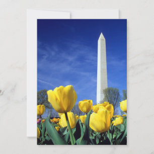 Monuments Washington Monument in Spring Thank You Card