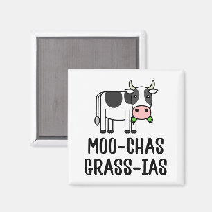 Moo-chas Grass-ias, Muchas Gracias gifts Calf Cow  Magnet
