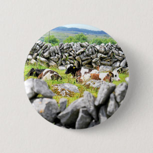 Moo Cows 6 Cm Round Badge