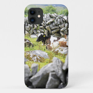 Moo Cows iPhone 11 Case