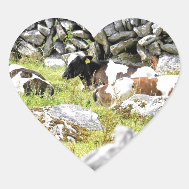 Moo Cows Heart Sticker (Front)