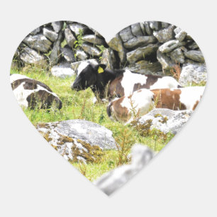 Moo Cows Heart Sticker