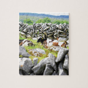 Moo Cows Jigsaw Puzzle