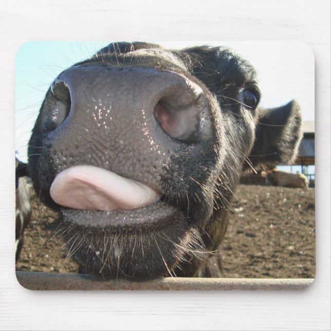 MOO KISSES MOUSE PAD (Front)