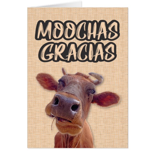 “Moochas Gracias” Cow Thank You Card (Front)