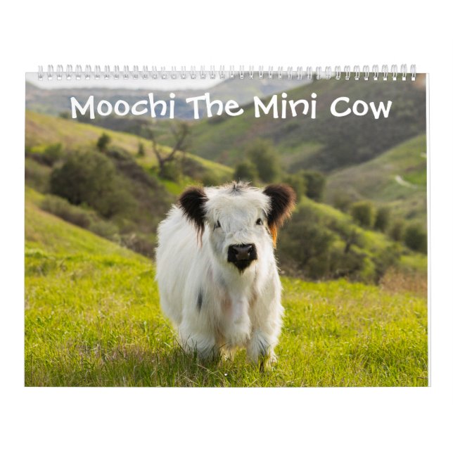 Moochi The Mini Cow Calendar (Cover)