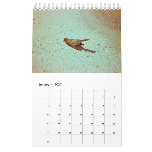 Mood: 2019 calendar (Jan 2027)