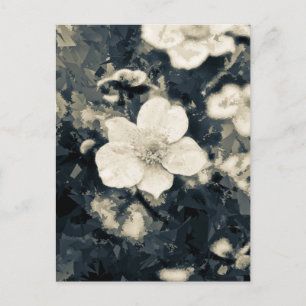 Moody Anemone Flower Botanical Art Postcard
