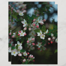 Moody apple tree blooms Scrapbook Paper
