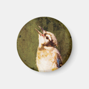 Moody Blue Jay Fine Art Magnet   Wildlife Decor