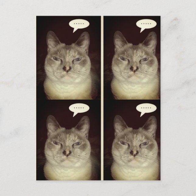 Moody Cat Postcard (Front)