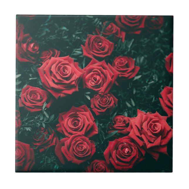 Moody Dark Red Roses Floral Pattern Background Tile (Front)