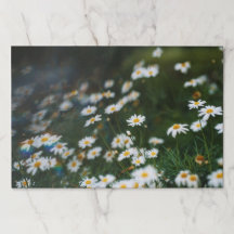Moody & dreamy Daisy Garden Paper Placemat