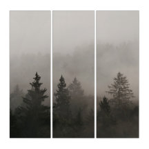 Moody Foggy Forest