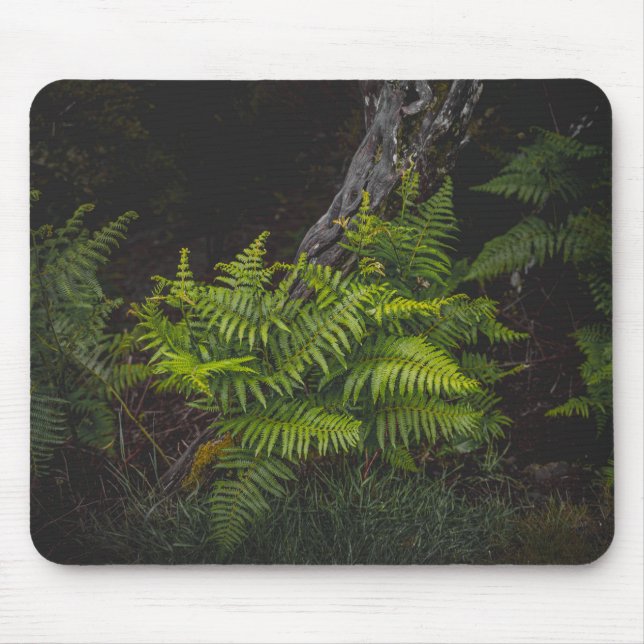 Moody green nature theme with ferns mouse pad (Front)