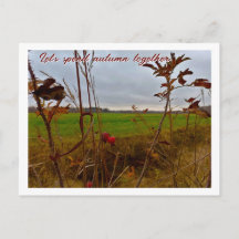 Moody Late Autumn: Red Rosehips and Green Field