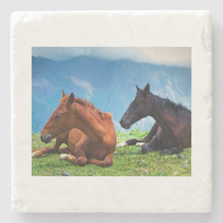 Moody Mountain Horses: A Fine Art Travel  Stone Coaster