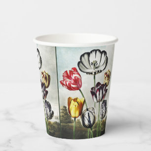 Moody Regency Style Multi-Colour Tulips Paper Cups