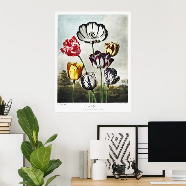 Moody Regency Style Multi-Colour Tulips Poster (Home Office)