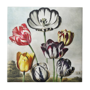 Moody Regency Style Multi-Colour Tulips Tile