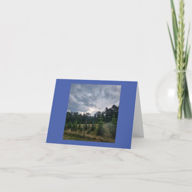 Moody sky and pines card (Front)