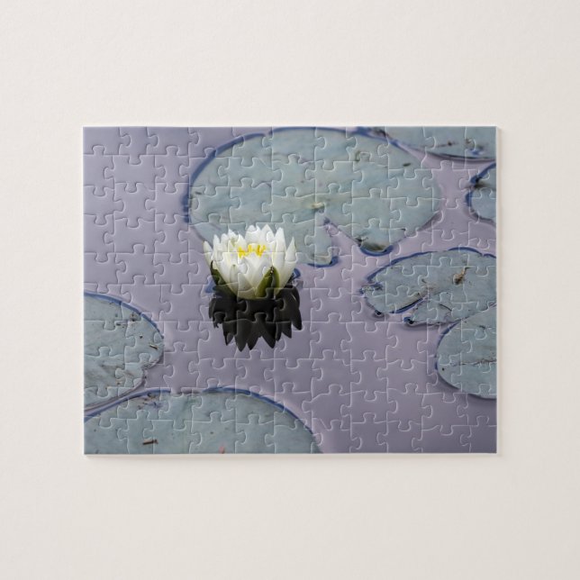 Moody Water Lily Jigsaw Puzzle (Horizontal)