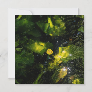 Moody Yellow Water Lily in sparkling light Holiday Card