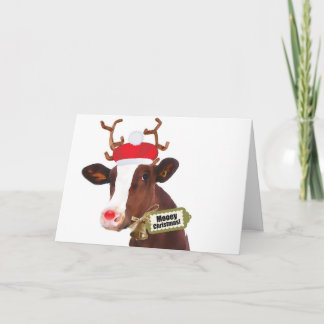 Mooey Merry Christmas Reindeer Cow Holiday Card