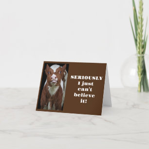 MOOING WISHES ON YOUR **21st BIRTHDAY** Card