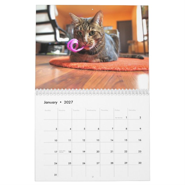 Mooki & Kiko 2010 Calendar (Jan 2027)