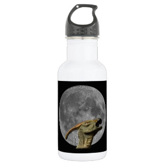 Moon and Charonosaurus 532 Ml Water Bottle