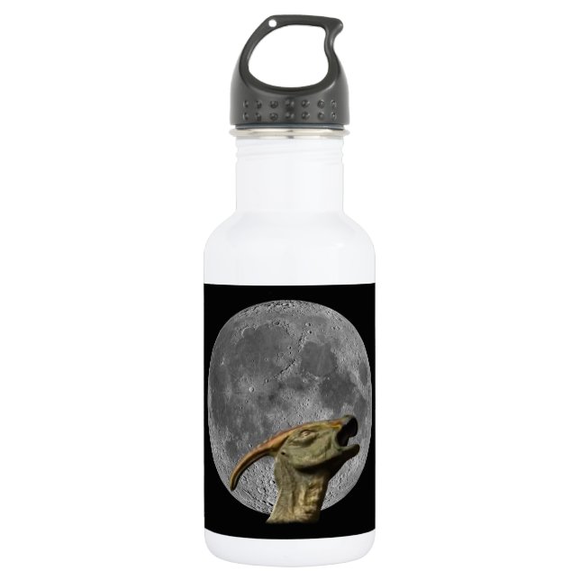 Moon and Charonosaurus 532 Ml Water Bottle (Front)