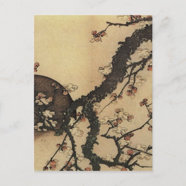 Moon and Flowers Postcard (Front)