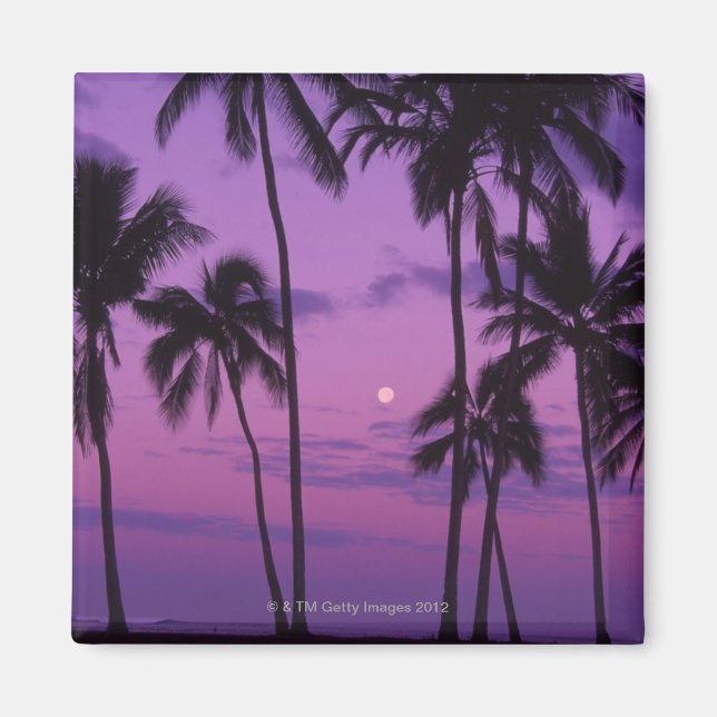 Moon and Palm Tree Magnet (Front)