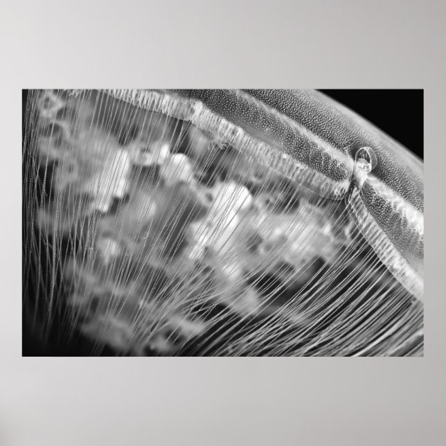 Moon Beads - Poster (Front)