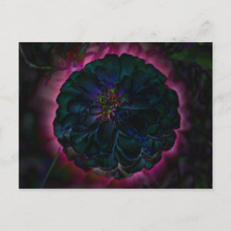 Moon Flower Post Card