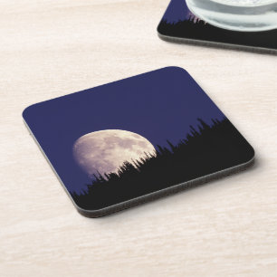 Moon & Forest   Glacier National Park Montana Coaster