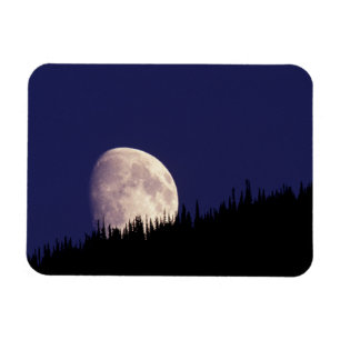 Moon & Forest   Glacier National Park Montana Magnet