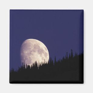 Moon & Forest Glacier National Park Montana Magnet