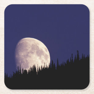 Moon & Forest   Glacier National Park Montana Square Paper Coaster