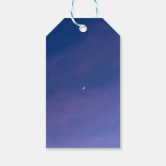 Moon gift tags