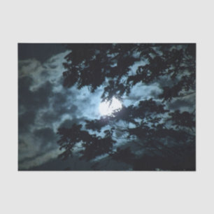 Moon Illuminates the Night behind Tree Branches Tissue Paper