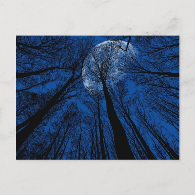 Moon in the Night Sky Postcard (Front)
